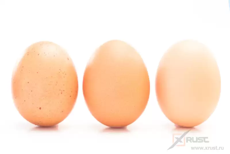 О пользе употребления 3 яиц в день